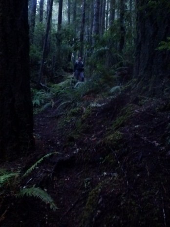 Sarah standing on a steep path surrounded by ferns and trees