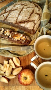 Apple, Gowan's new dwarf nigerian baby goat