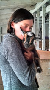 Sourdough rye bread for breakfast!