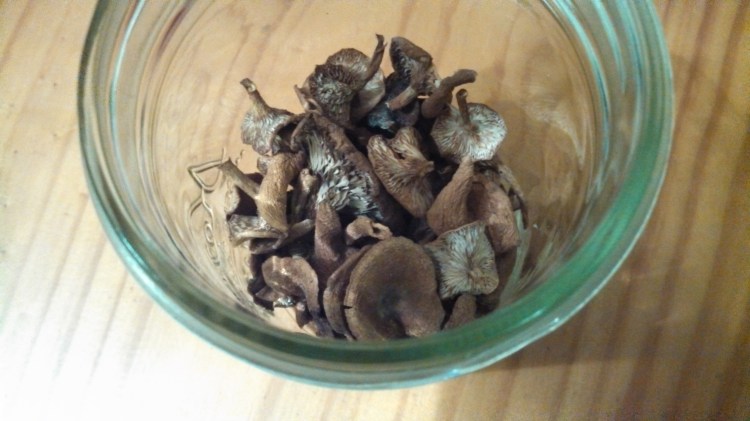 Dried candy cap mushrooms