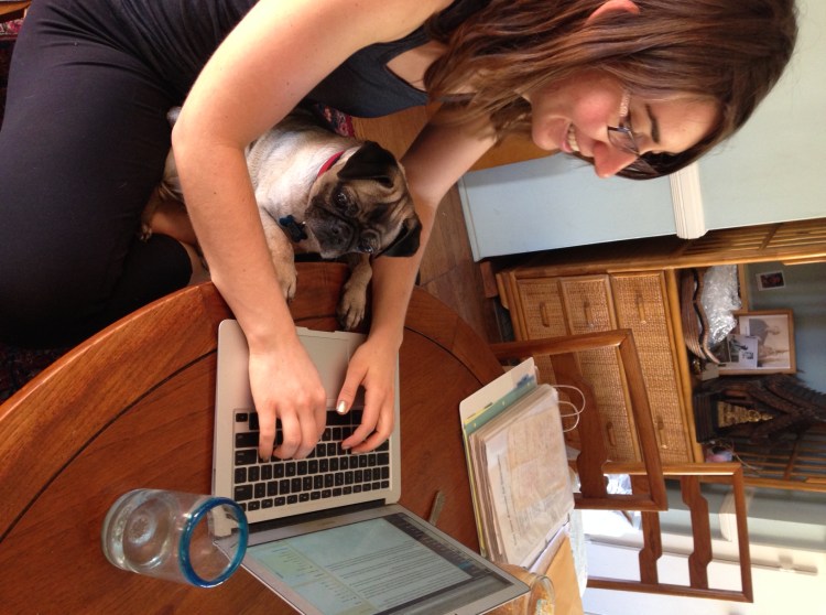 Lola the pug-blogger
